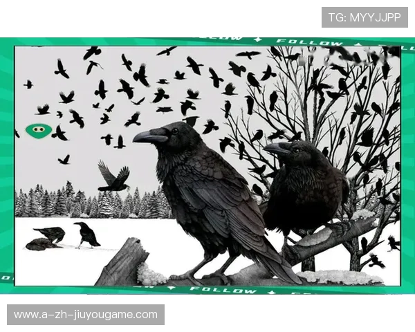 乌鸦外接手状态出色，助力球队取胜，请问乌鸦